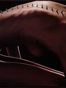 Satya Arteau nude 12