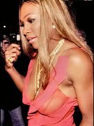 Serena Williams nude 17