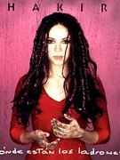 Shakira nude 394