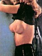 Shannon Tweed nude 19