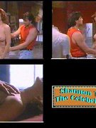 Shannon Tweed nude 45