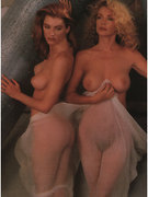 Shannon Tweed nude 6