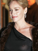 Sharon Stone nude 199