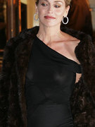 Sharon Stone nude 200