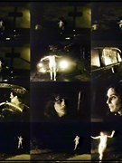 Sherry Steiner nude 0