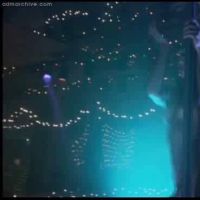 Shirly Brener Videos