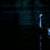 Sibylle Canonica Videos