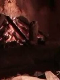 Silvia Gogovacinschi