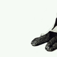 Stackelberg Filippa-van