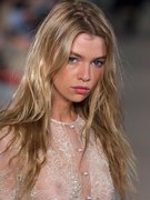 Stella Maxwell nude 5