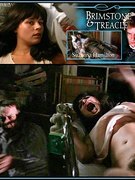 Suzanna Hamilton nude 10