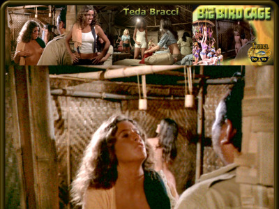 Teda Bracci