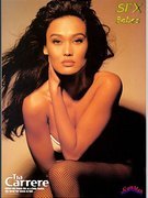 Tia Carrere nude 33