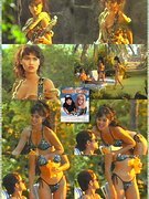 Tia Carrere nude 9