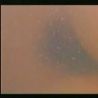 Tricia Vessey Videos