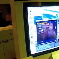 Vanessa Ferlito Videos