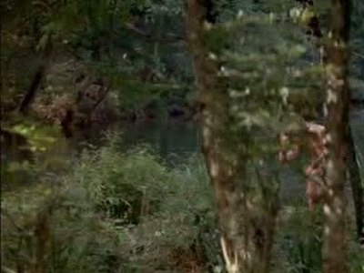 Virginie Ledoyen Videos