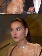 Virginie Ledoyen nude 27