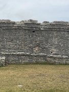 Willa Holland nude 5