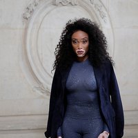 Winnie Harlow see-through shots