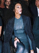 Winnie Harlow nude 8